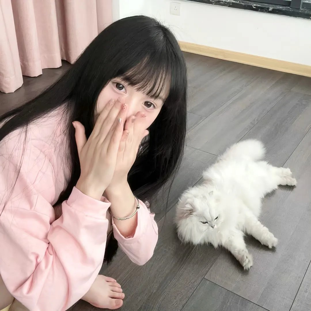 我跟踪猫