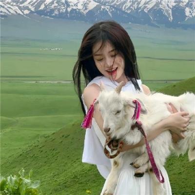 奶酪陷阱2018
